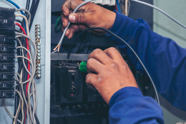 Best Electric Panel Repair  in Crozet, VA